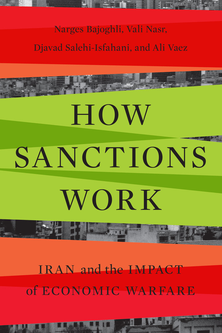 Cover image for How Sanctions Work ISBN 9781503637801